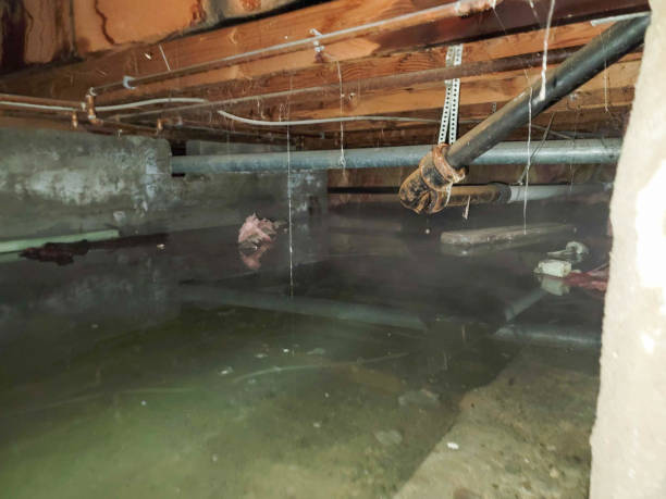 Best Water damage contractors near me  in Sylvan Springs, AL