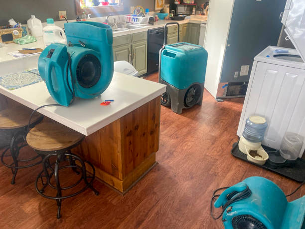 Best Water damage restoration near me  in Sylvan Springs, AL