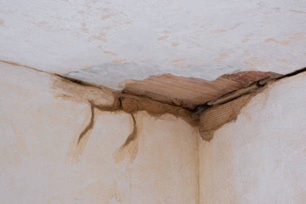 Best Residential water damage restoration  in Sylvan Springs, AL