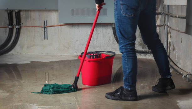 Best Sewage cleanup and water damage restoration  in Sylvan Springs, AL