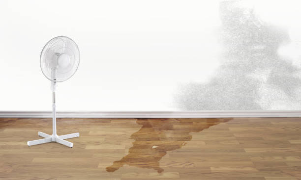 Best Water damage restoration company  in Sylvan Springs, AL
