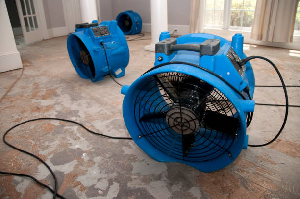 Best Flooded house restoration  in Sylvan Springs, AL
