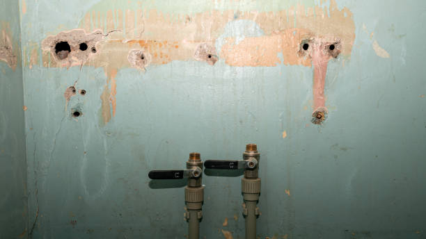  Sylvan Springs, AL Water damage restoration Pros
