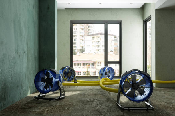Best Mold removal after water damage  in Sylvan Springs, AL
