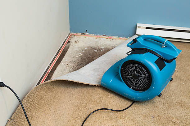 Best Professional water damage repair  in Sylvan Springs, AL